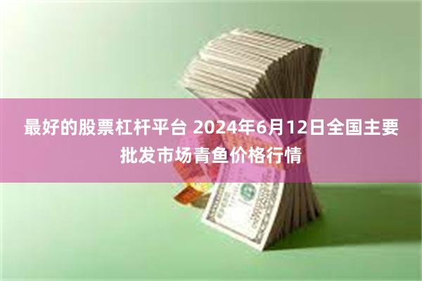 最好的股票杠杆平台 2024年6月12日全国主要批发市场青鱼价格行情