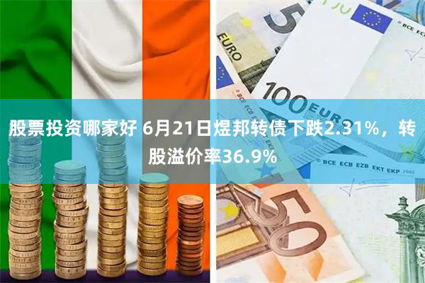 股票投资哪家好 6月21日煜邦转债下跌2.31%，转股溢价率36.9%