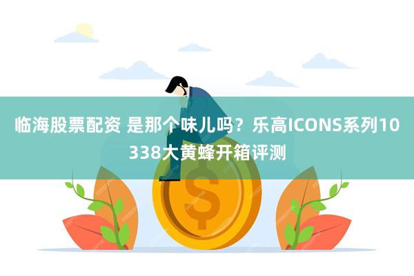 临海股票配资 是那个味儿吗？乐高ICONS系列10338大黄蜂开箱评测