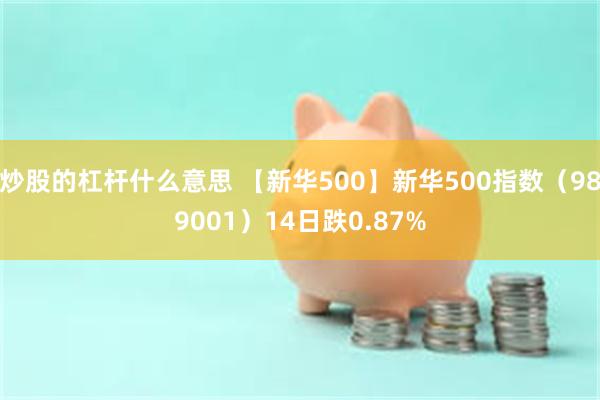 炒股的杠杆什么意思 【新华500】新华500指数（989001）14日跌0.87%