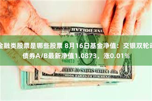 金融类股票是哪些股票 8月16日基金净值：交银双轮动债券A/B最新净值1.0873，涨0.01%