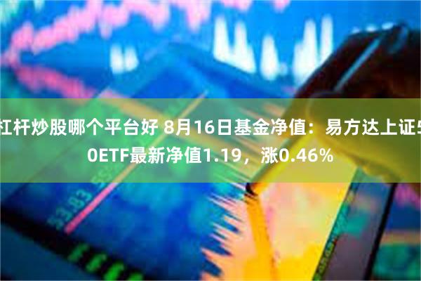 杠杆炒股哪个平台好 8月16日基金净值：易方达上证50ETF最新净值1.19，涨0.46%