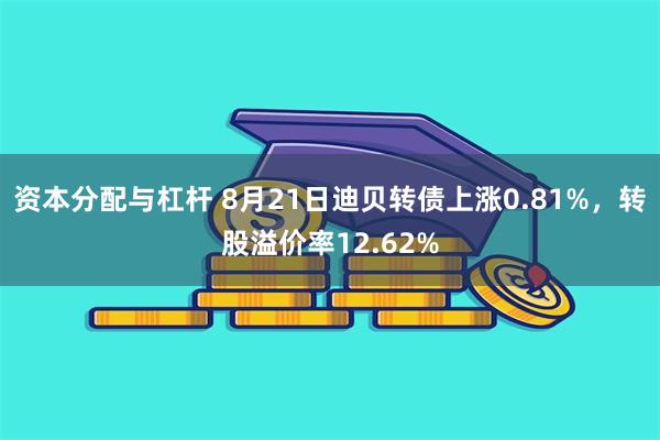 资本分配与杠杆 8月21日迪贝转债上涨0.81%，转股溢价率12.62%