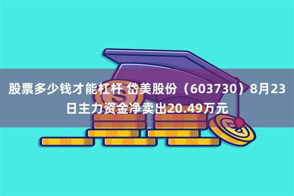 股票多少钱才能杠杆 岱美股份（603730）8月23日主力资金净卖出20.49万元