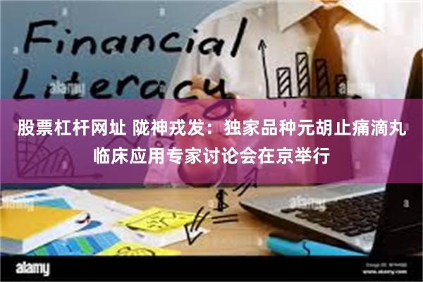 股票杠杆网址 陇神戎发：独家品种元胡止痛滴丸临床应用专家讨论会在京举行