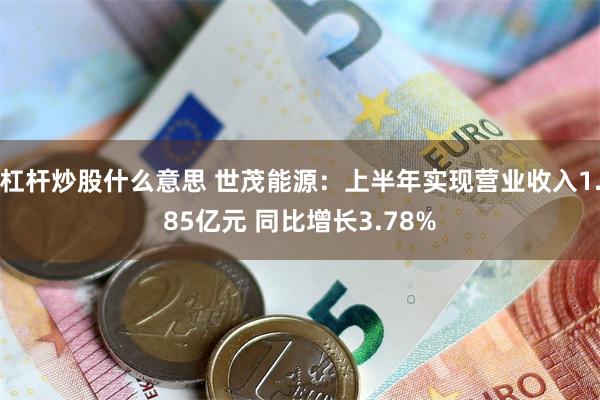 杠杆炒股什么意思 世茂能源：上半年实现营业收入1.85亿元 同比增长3.78%