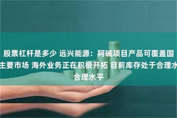 股票杠杆是多少 远兴能源：阿碱项目产品可覆盖国内主要市场 海外业务正在积极开拓 目前库存处于合理水平