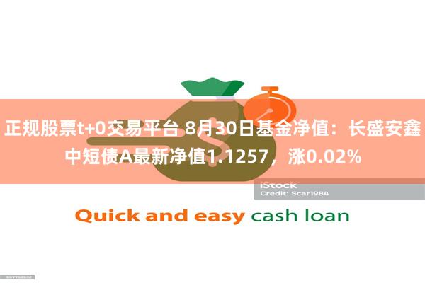 正规股票t+0交易平台 8月30日基金净值：长盛安鑫中短债A最新净值1.1257，涨0.02%