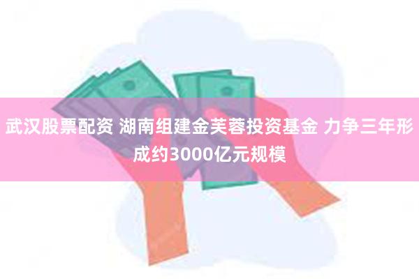 武汉股票配资 湖南组建金芙蓉投资基金 力争三年形成约3000亿元规模