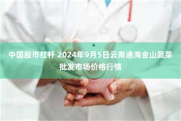 中国股市杠杆 2024年9月5日云南通海金山蔬菜批发市场价格行情