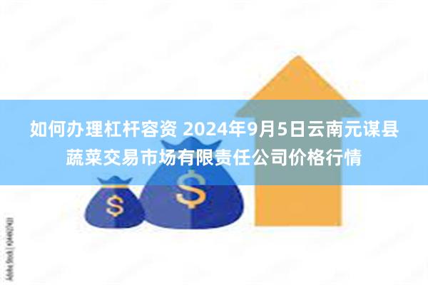 如何办理杠杆容资 2024年9月5日云南元谋县蔬菜交易市场有限责任公司价格行情