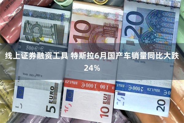 线上证券融资工具 特斯拉6月国产车销量同比大跌24%