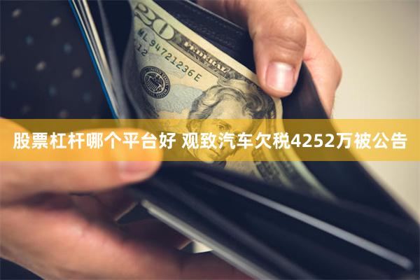 股票杠杆哪个平台好 观致汽车欠税4252万被公告