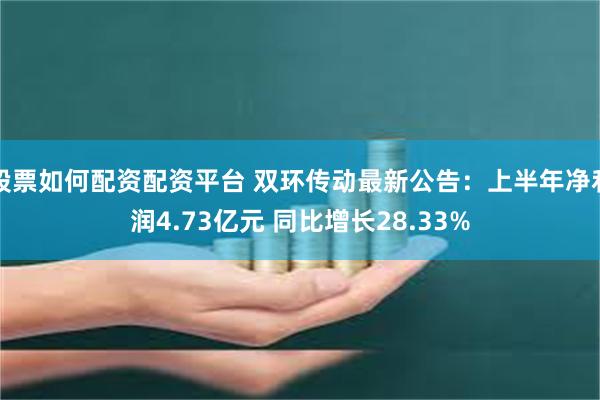 股票如何配资配资平台 双环传动最新公告：上半年净利润4.73亿元 同比增长28.33%