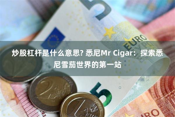 炒股杠杆是什么意思? 悉尼Mr Cigar：探索悉尼雪茄世界的第一站