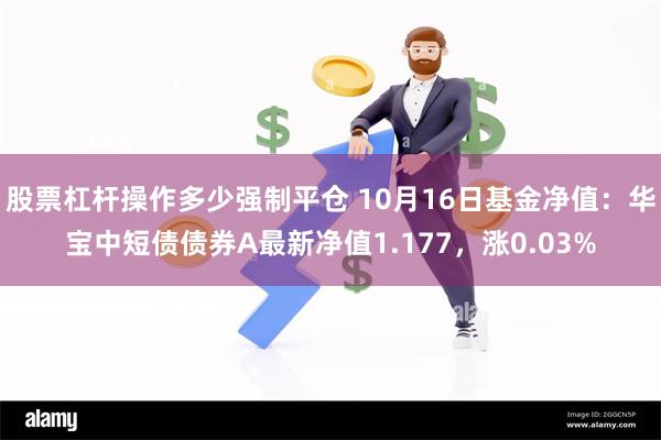 股票杠杆操作多少强制平仓 10月16日基金净值：华宝中短债债券A最新净值1.177，涨0.03%