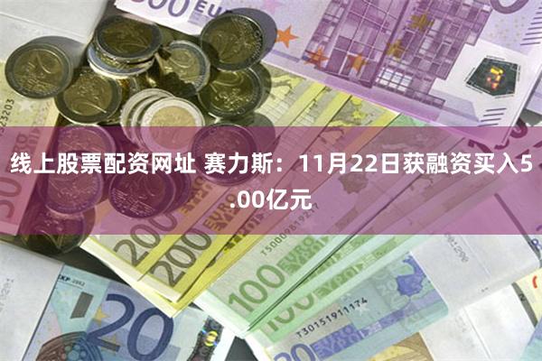 线上股票配资网址 赛力斯：11月22日获融资买入5.00亿元