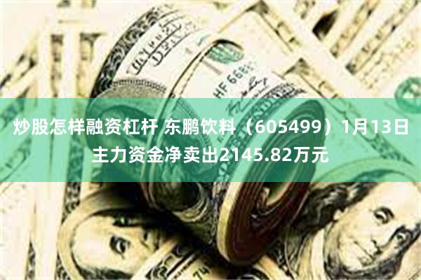 炒股怎样融资杠杆 东鹏饮料（605499）1月13日主力资金净卖出2145.82万元