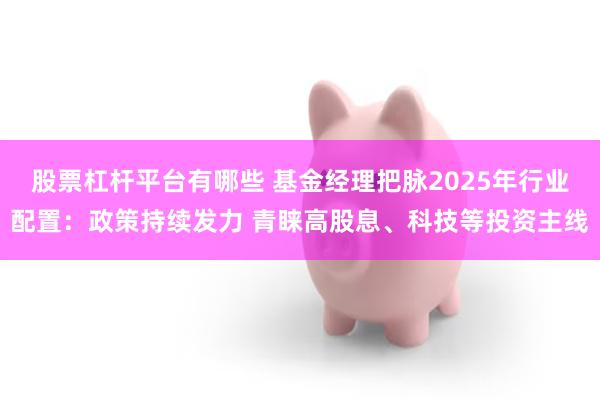 股票杠杆平台有哪些 基金经理把脉2025年行业配置：政策持续发力 青睐高股息、科技等投资主线