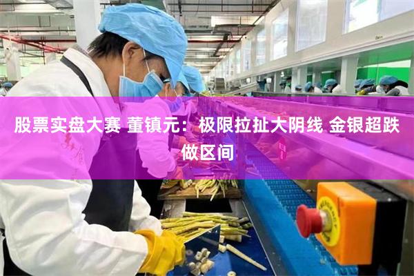 股票实盘大赛 董镇元：极限拉扯大阴线 金银超跌做区间