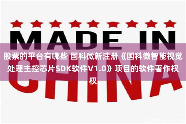 股票的平台有哪些 国科微新注册《国科微智能视觉处理主控芯片SDK软件V1.0》项目的软件著作权