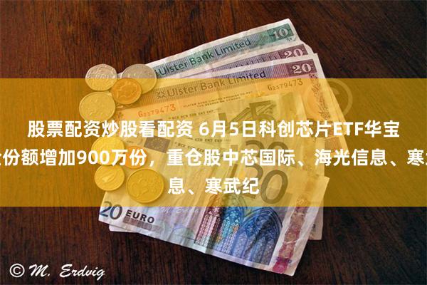 股票配资炒股看配资 6月5日科创芯片ETF华宝基金份额增加900万份，重仓股中芯国际、海光信息、寒武纪