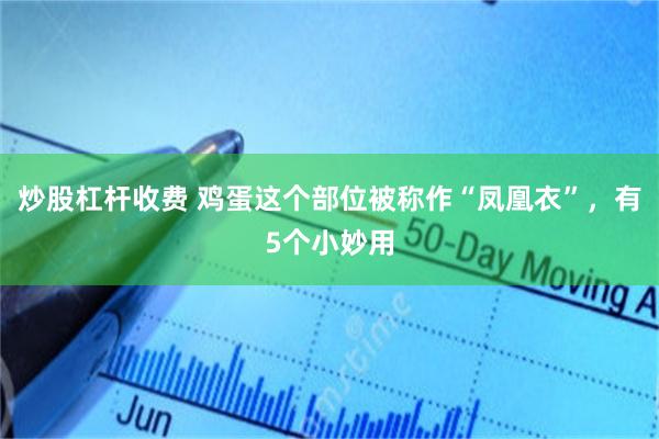 炒股杠杆收费 鸡蛋这个部位被称作“凤凰衣”，有5个小妙用