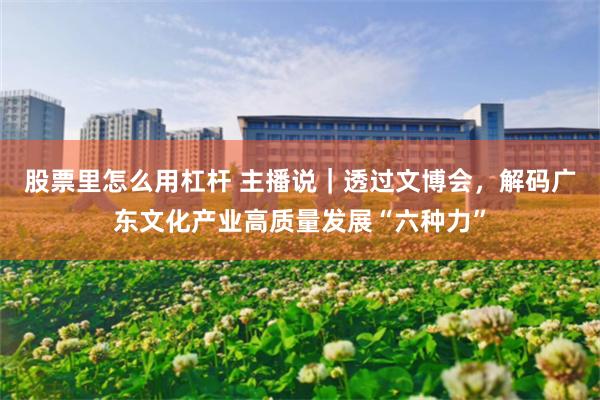 股票里怎么用杠杆 主播说｜透过文博会，解码广东文化产业高质量发展“六种力”