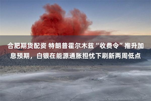 合肥期货配资 特朗普霍尔木兹“收费令”推升加息预期，白银在能源通胀担忧下刷新两周低点