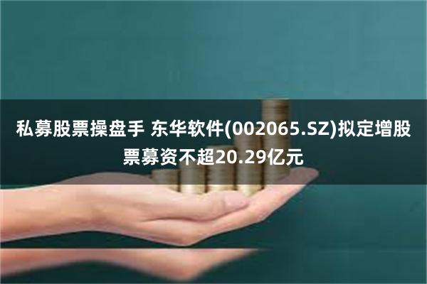 私募股票操盘手 东华软件(002065.SZ)拟定增股票募资不超20.29亿元