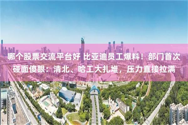 哪个股票交流平台好 比亚迪员工爆料！部门首次碰面傻眼：清北、哈工大扎堆，压力直接拉满