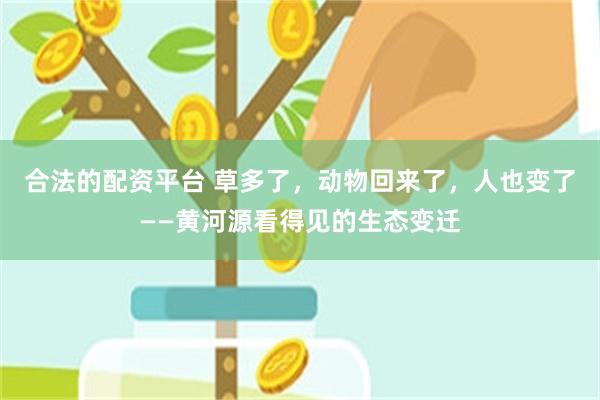 合法的配资平台 草多了，动物回来了，人也变了——黄河源看得见的生态变迁