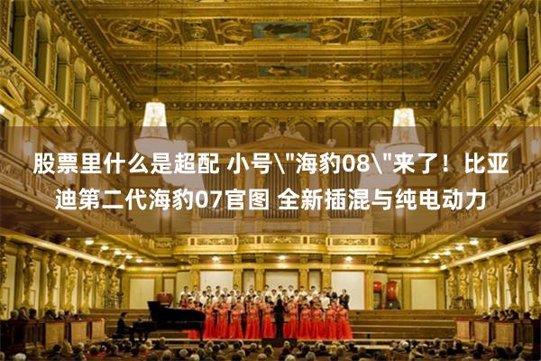 股票里什么是超配 小号＂海豹08＂来了！比亚迪第二代海豹07官图 全新插混与纯电动力